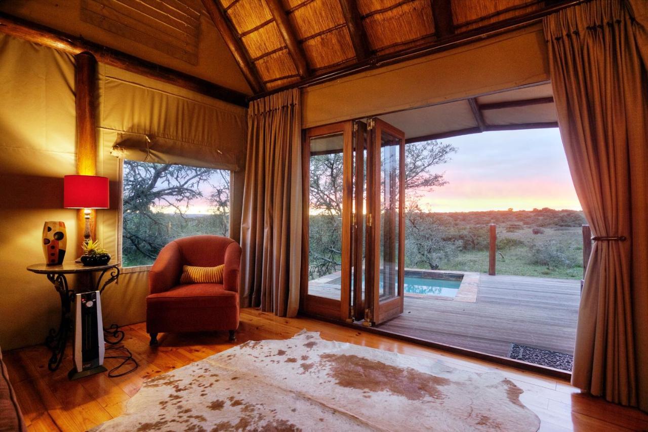 Bush Lodge - Amakhala Doğa Koruma Alanı Dış mekan fotoğraf
