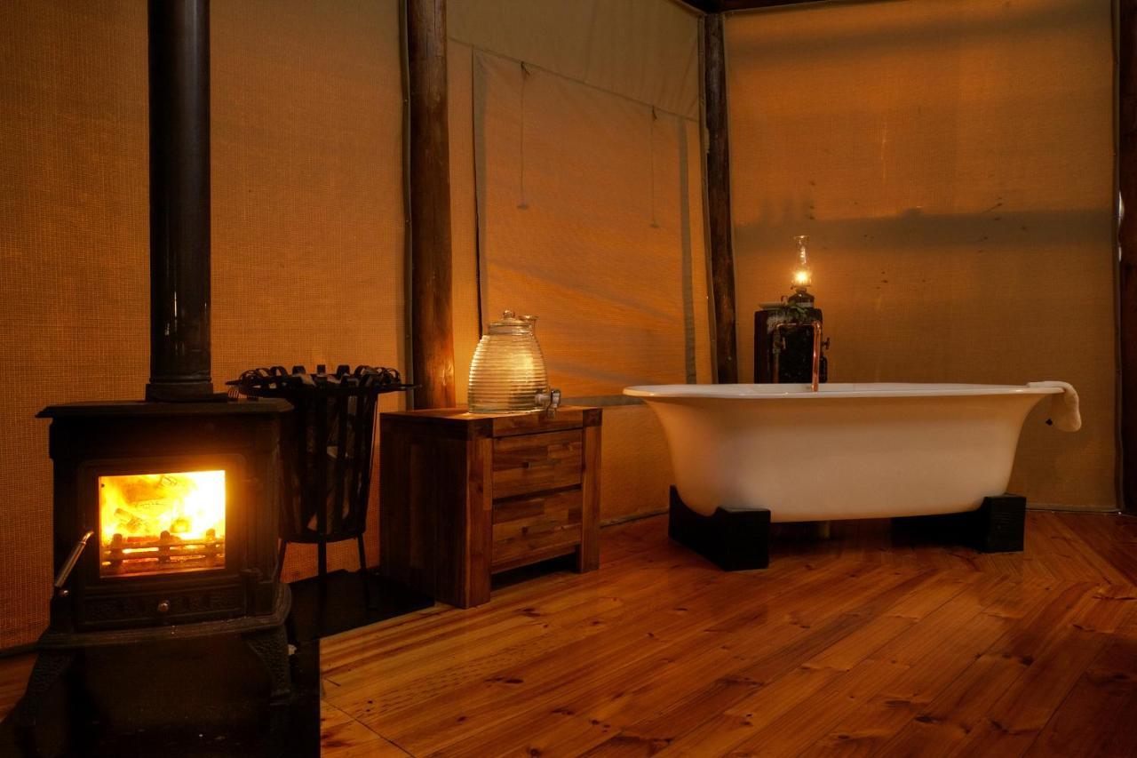 Bush Lodge - Amakhala Doğa Koruma Alanı Dış mekan fotoğraf