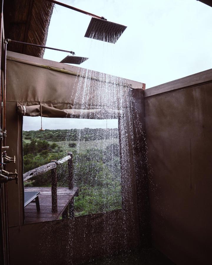 Bush Lodge - Amakhala Doğa Koruma Alanı Dış mekan fotoğraf