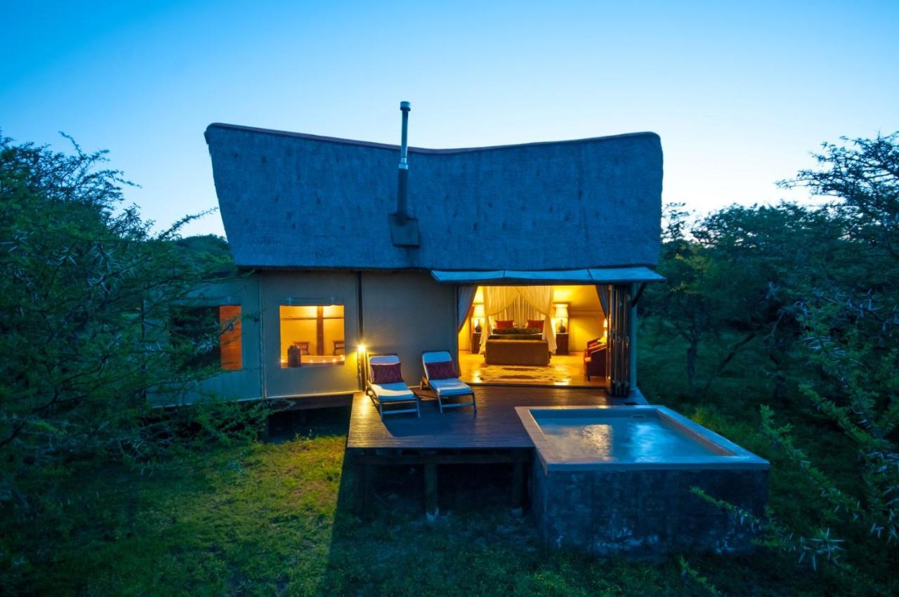 Bush Lodge - Amakhala Doğa Koruma Alanı Dış mekan fotoğraf