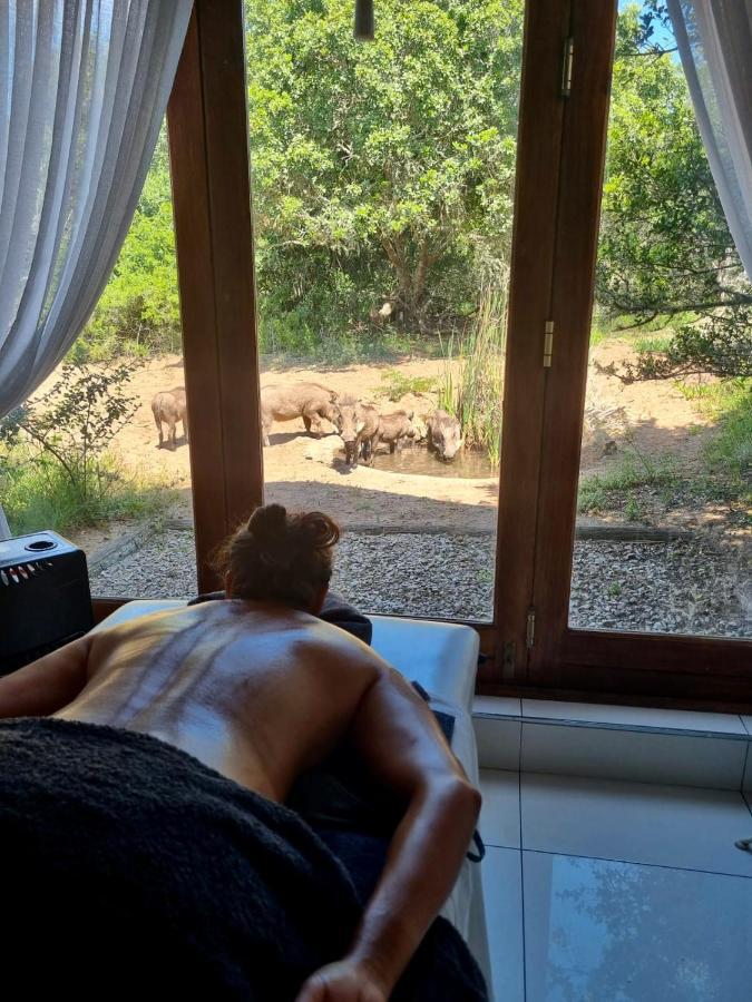 Bush Lodge - Amakhala Doğa Koruma Alanı Dış mekan fotoğraf