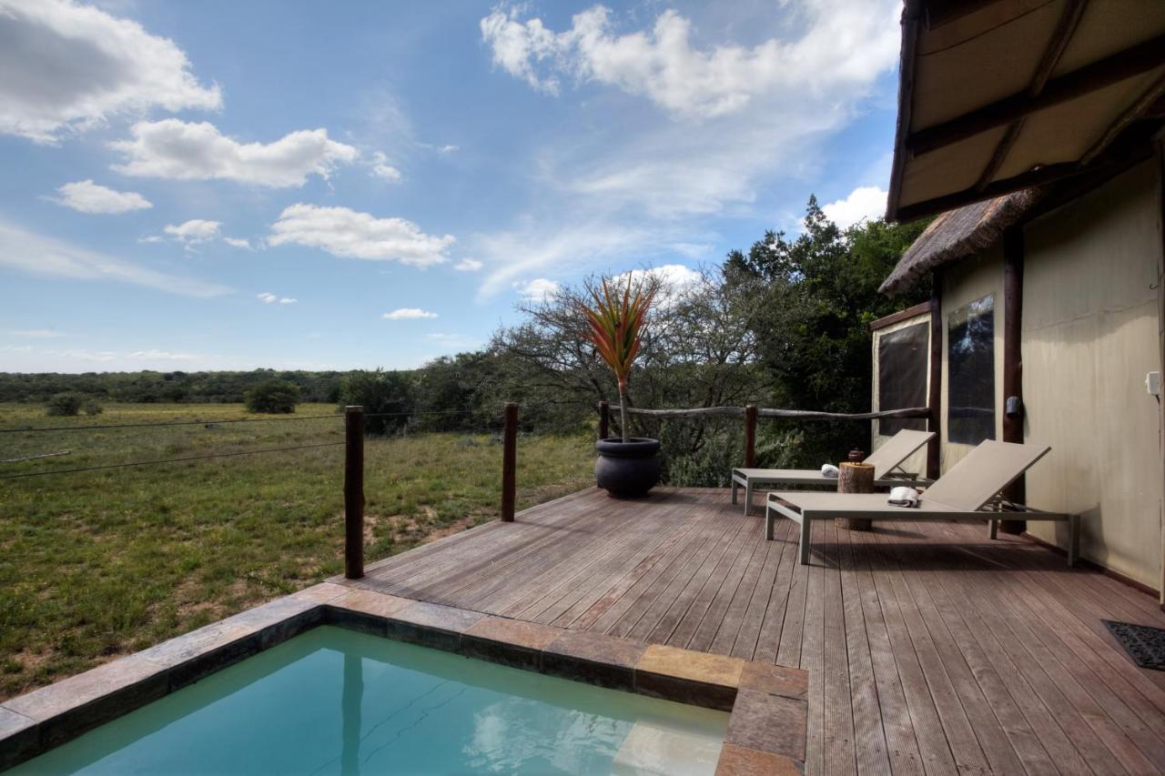 Bush Lodge - Amakhala Doğa Koruma Alanı Dış mekan fotoğraf