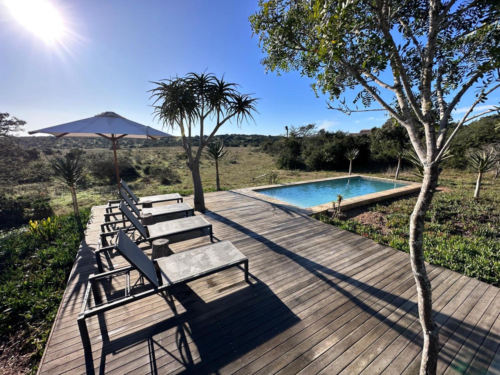 Bush Lodge - Amakhala Doğa Koruma Alanı Dış mekan fotoğraf