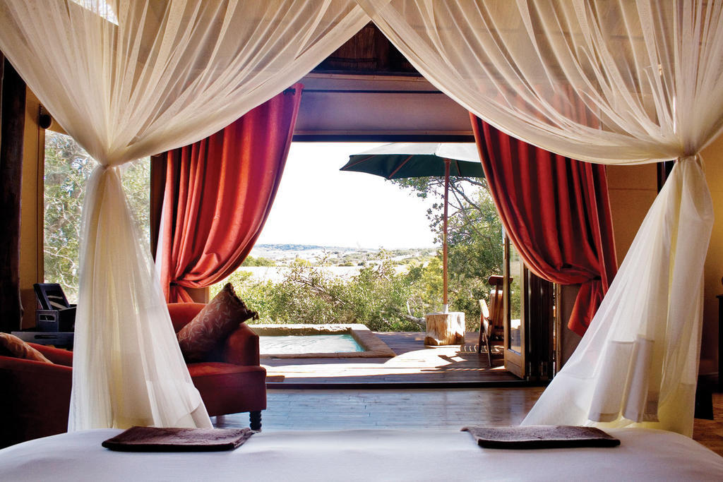 Bush Lodge - Amakhala Doğa Koruma Alanı Oda fotoğraf