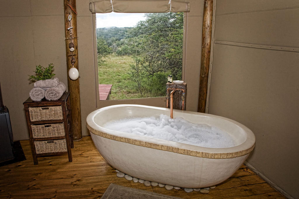 Bush Lodge - Amakhala Doğa Koruma Alanı Oda fotoğraf